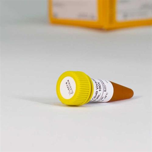 N2581 | Nano-Glo(R) Vivazine(TM) Live Cell Substrate