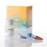 N3030 | Nano-Glo(R) HiBiT Lytic Detection System