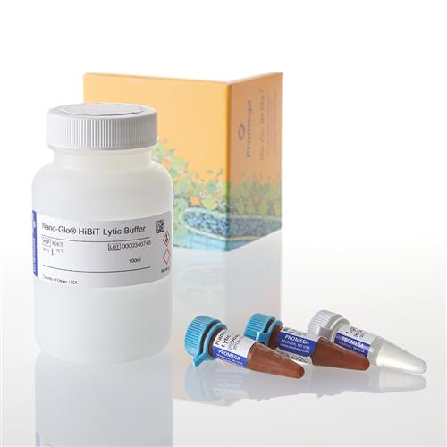 N3040 | Nano Glo HiBiT Lytic Detection System