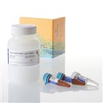 N3040 | Nano Glo HiBiT Lytic Detection System