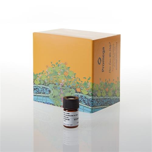 N4100 | Nano-Glo(R) Fluorofurimazine In Vivo Substrate