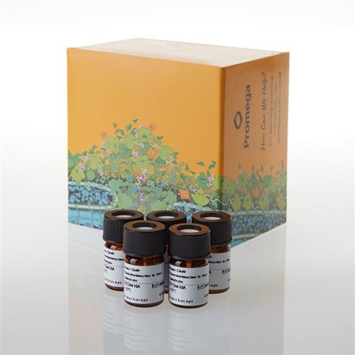 N4110 | Nano-Glo(R) Fluorofurimazine In Vivo Substrate