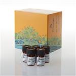 N4110 | Nano-Glo(R) Fluorofurimazine In Vivo Substrate