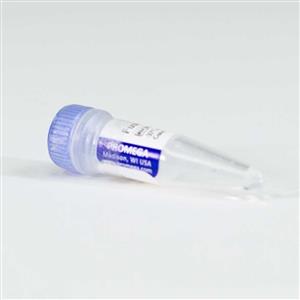 NV1681 | NanoLuc(R)-MAPK4 Fusion Vector