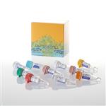 P1300 | RiboMAX(TM) Large Scale RNA Production System - T7