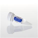 U1431 | PCR Nucleotide Mix