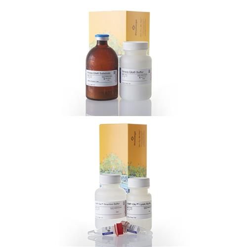 V1502 | cAMP-Glo(TM) Assay 3