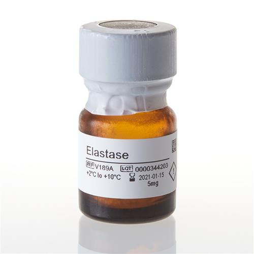 V1891 | Elastase