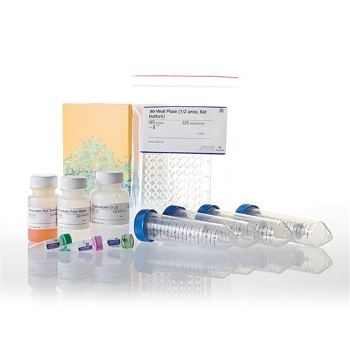 V2460 | Ser/Thr Phosphatase Assay System