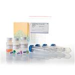 V2460 | Ser/Thr Phosphatase Assay System