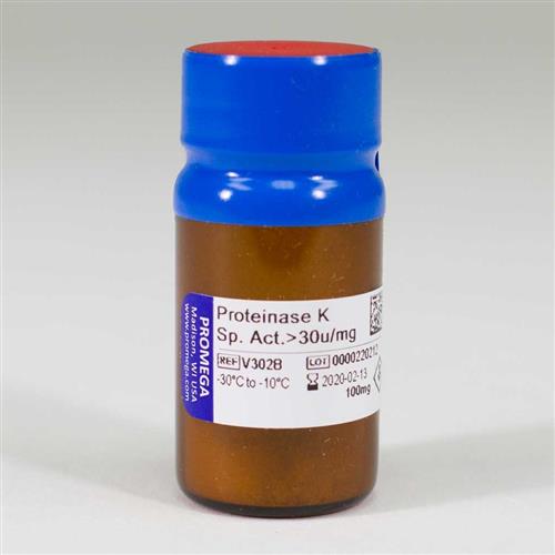V3021 | Proteinase K