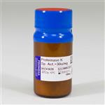 V3021 | Proteinase K