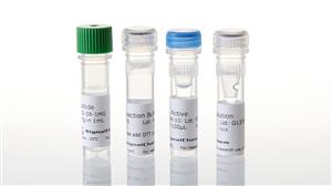 V3841 | Agarose LMP Preparative Grade for Smal