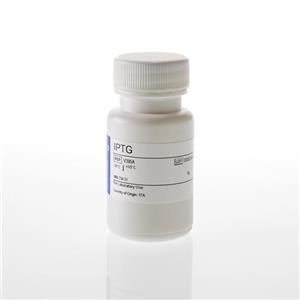 V3955 | IPTG Dioxane Free