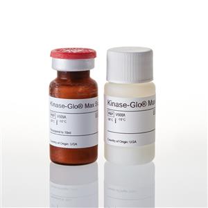 V6071 | Kinase-Glo(R) Max Luminescent Kinase Assay