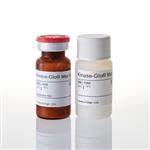 V6071 | Kinase-Glo(R) Max Luminescent Kinase Assay