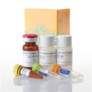 V6911 | GSH-Glo(TM) Glutathione Assay