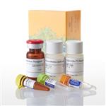 V6911 | GSH-Glo(TM) Glutathione Assay