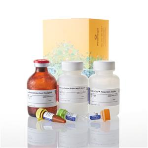 V6912 | GSH-Glo(TM) Glutathione Assay