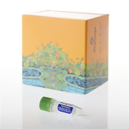 V6941 | MS Compatible Human Protein Extract