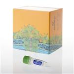 V6941 | MS Compatible Human Protein Extract