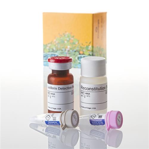 V8321 | P450-Glo(TM) CYP2B6 Assay