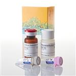 V8321 | P450-Glo(TM) CYP2B6 Assay