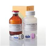 V8322 | P450-Glo(TM) CYP2B6 Assay