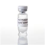 V8341 | IdeZ Protease