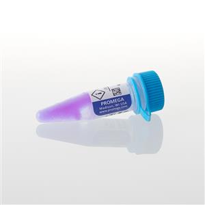 V8491 | Broad Range Protein Molecular Weight Mar