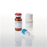 V8751 | P450-Glo(TM) CYP1A1 Assay