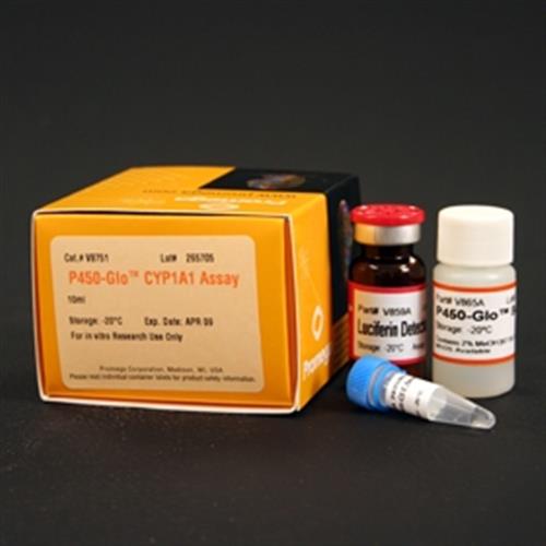 V8752 | P450-Glo(TM) CYP1A1 Assay