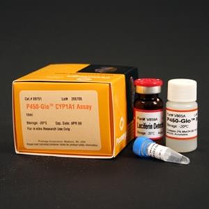 V8752 | P450-Glo(TM) CYP1A1 Assay