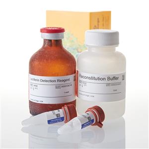 V8782 | P450-Glo(TM) CYP2C8 Assay