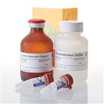 V8782 | P450-Glo(TM) CYP2C8 Assay