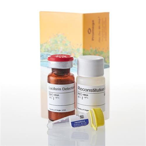 V8791 | P450-Glo(TM) CYP2C9 Assay