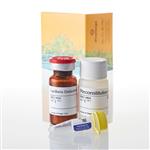 V8791 | P450-Glo(TM) CYP2C9 Assay