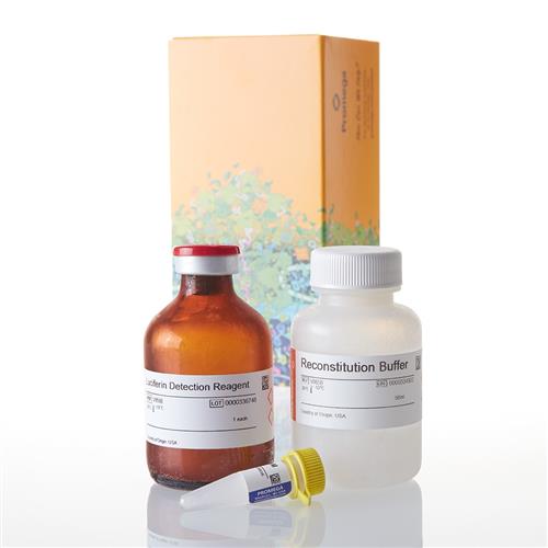 V8792 | P450-Glo(TM) CYP2C9 Assay