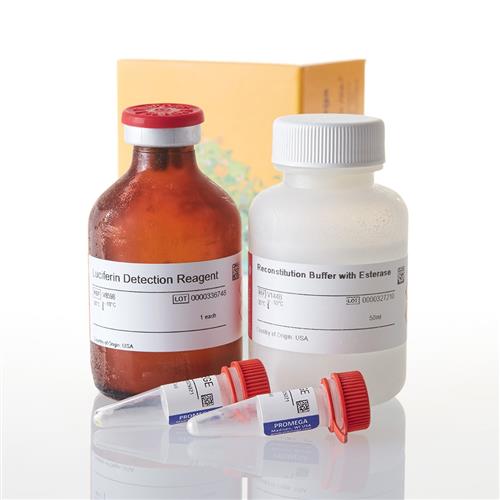 V8882 | P450-Glo(TM) CYP2C19 Assay 50ml