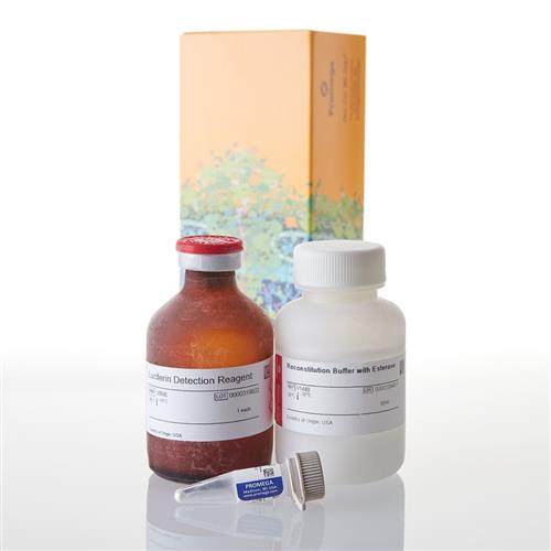 V8892 | P450-Glo(TM) CYP2D6 Assay 50ml