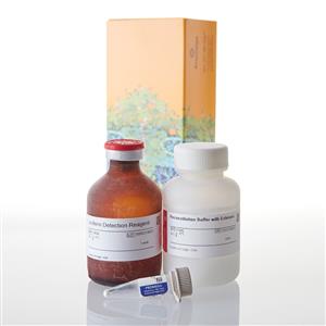 V8892 | P450-Glo(TM) CYP2D6 Assay 50ml