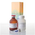 V8892 | P450-Glo(TM) CYP2D6 Assay 50ml