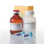 V8912 | P450-Glo(TM) CYP3A4 Assay with Luciferin PPXE