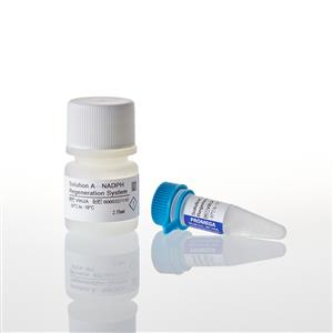 V9510 | NADPH Regeneration System