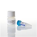 V9510 | NADPH Regeneration System