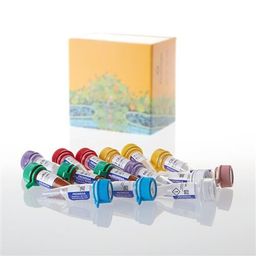 VA1040 | AccuMAP(TM) Low pH Protein Digestion Mini Kit