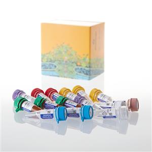 VA1040 | AccuMAP(TM) Low pH Protein Digestion Mini Kit