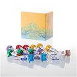 VA1040 | AccuMAP(TM) Low pH Protein Digestion Mini Kit