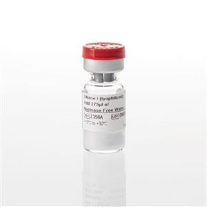 Z3585 | DNase I (lyophilized)