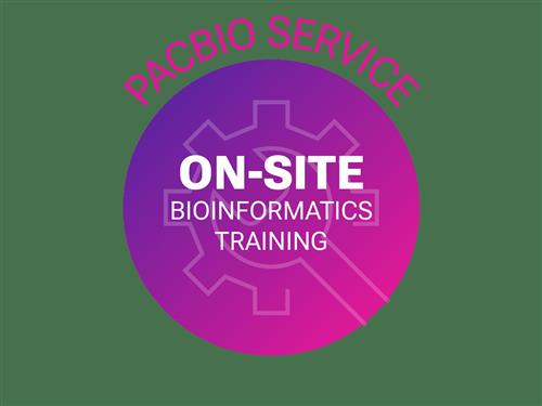 On-site bioinformatics training